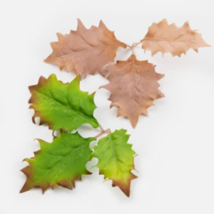 Leaf Camo - LC5