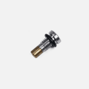 SSX10 Intake Valve