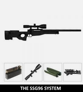The SSG96 System