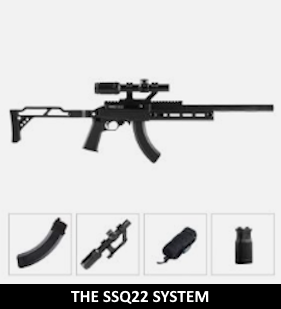 The SSQ22 System
